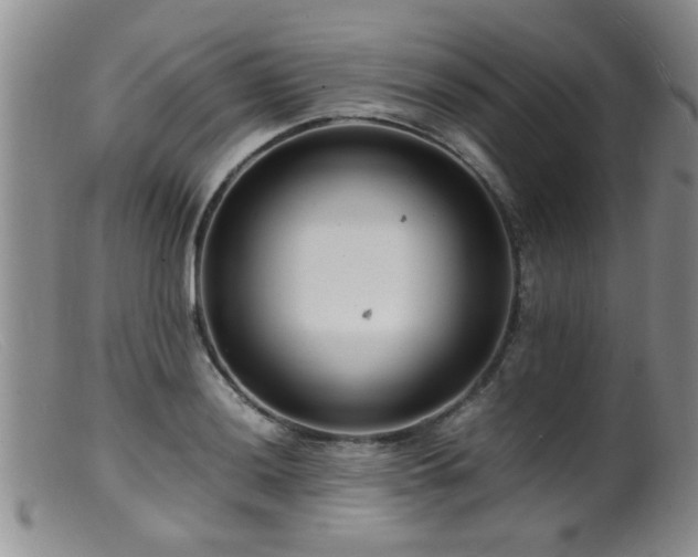 X0000099461036200805161042