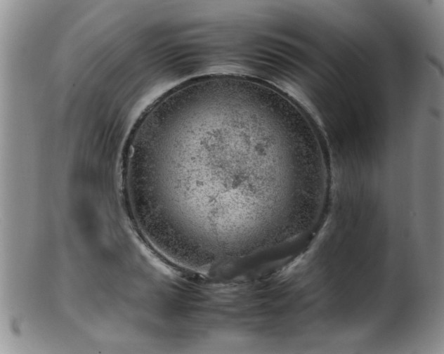 X0000099461037200805161042