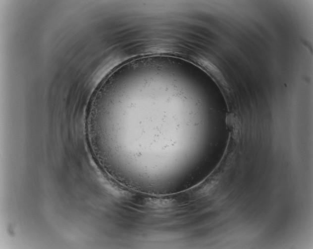 X0000099461039200805161042