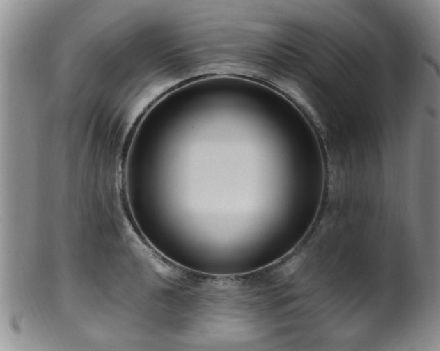 X0000099461040200805161042