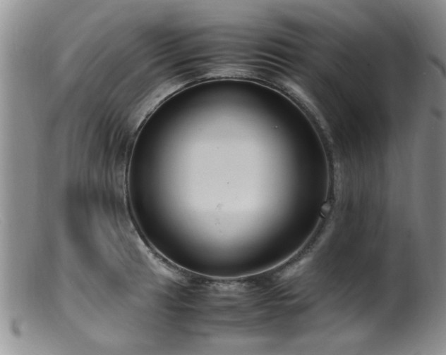 X0000099461041200805161042