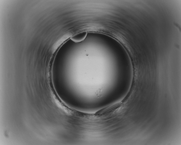 X0000099461042200805161042