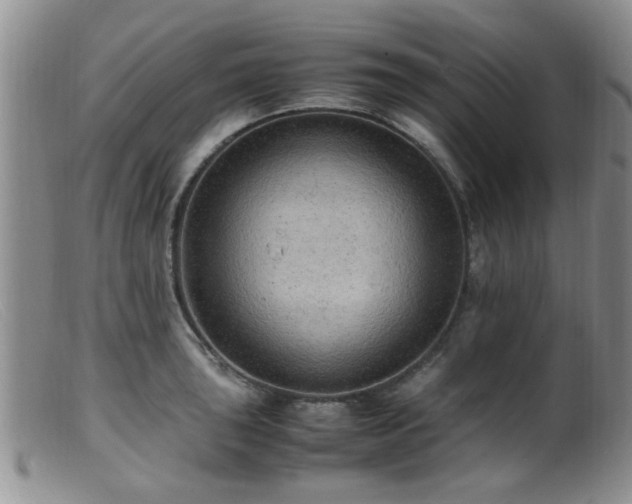 X0000099461043200805161042