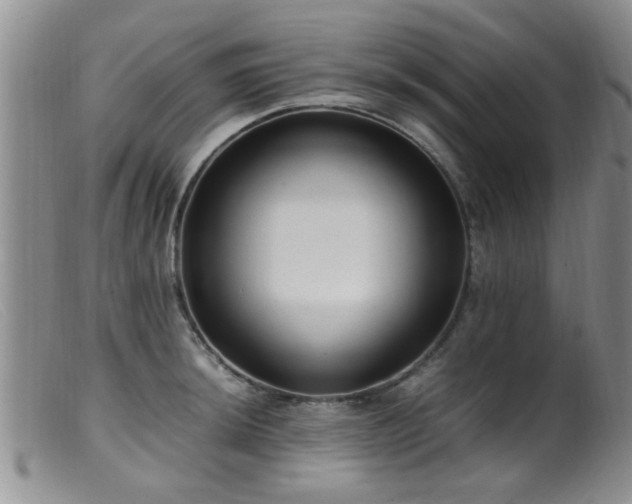 X0000099461044200805161042