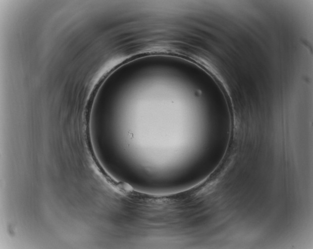 X0000099461045200805161042