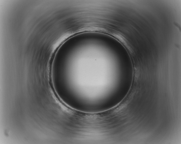 X0000099461046200805161042