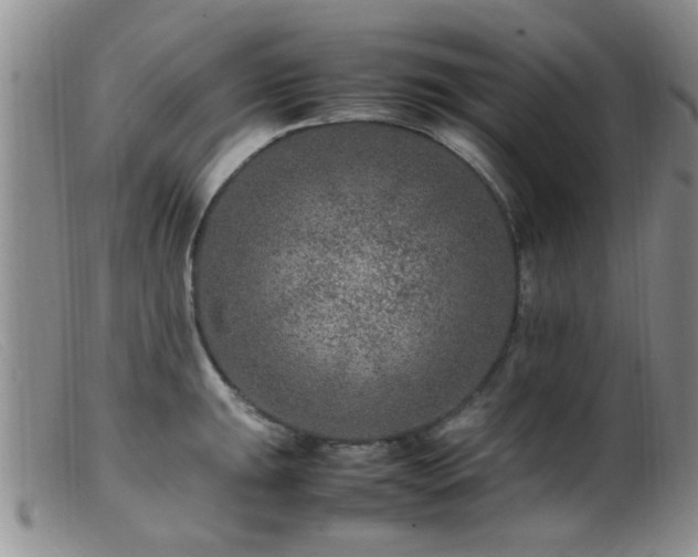 X0000099461047200805161042