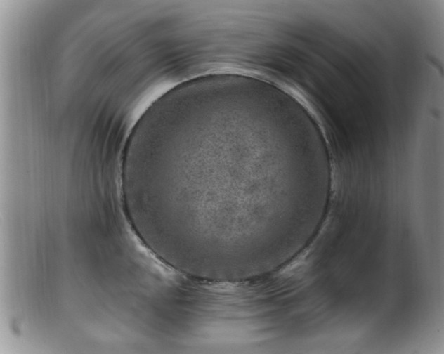 X0000099461048200805161042