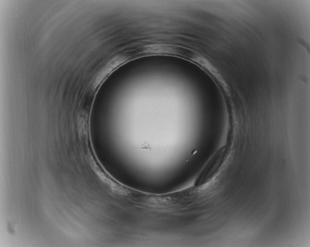 X0000099461049200805161042