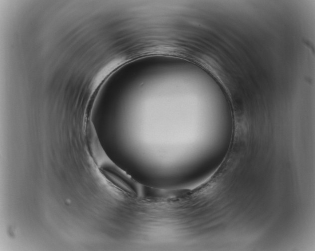 X0000099461050200805161042