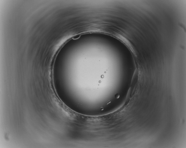 X0000099461051200805161042