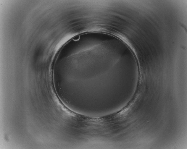 X0000099461053200805161042