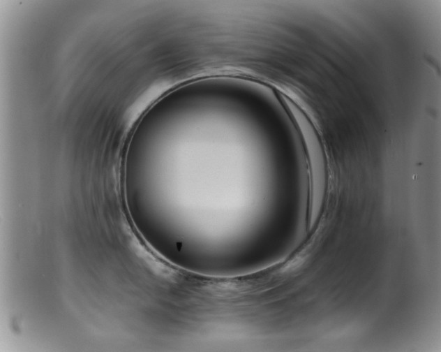 X0000099461054200805161042