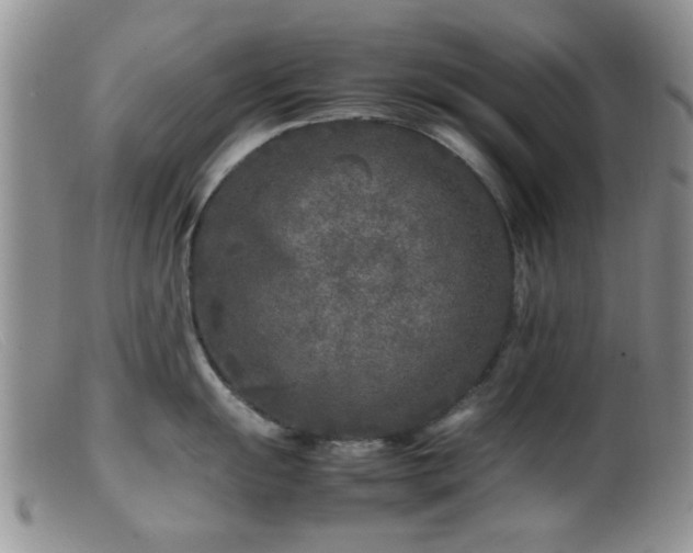 X0000099461055200805161042