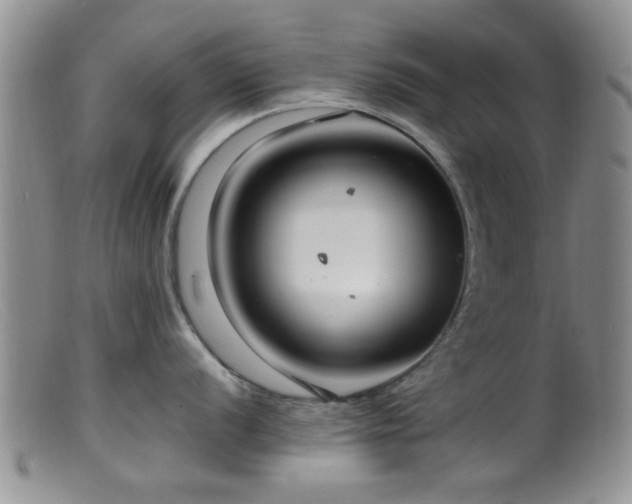 X0000099461056200805161042