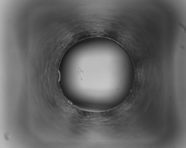 X0000099461057200805161041