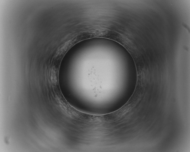 X0000099461058200805161041