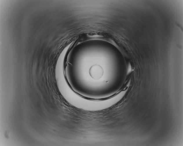 X0000099461059200805161041