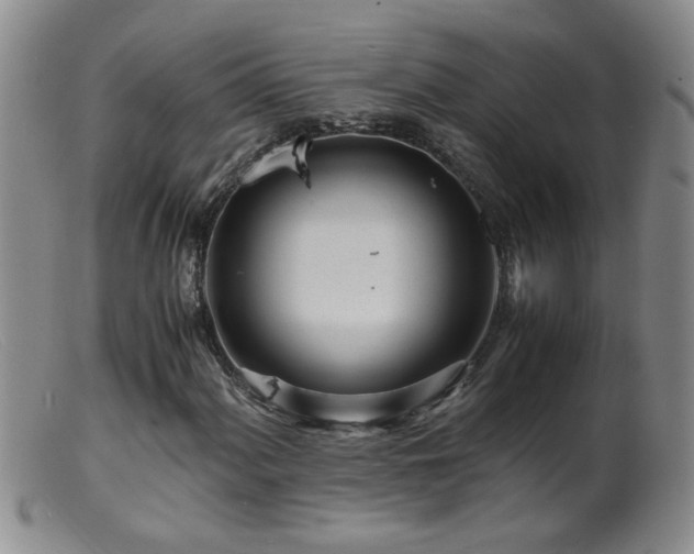 X0000099461060200805161041