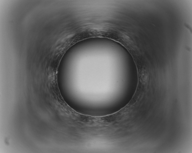 X0000099461061200805161041