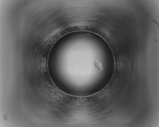 X0000099461062200805161041