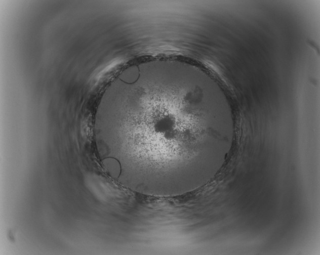 X0000099461063200805161041