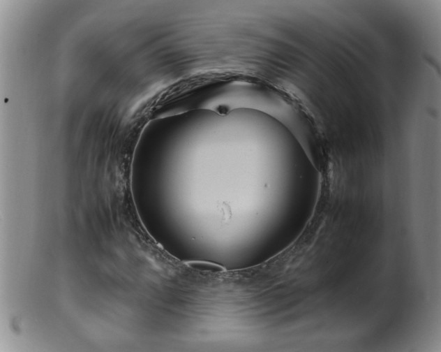 X0000099461064200805161041