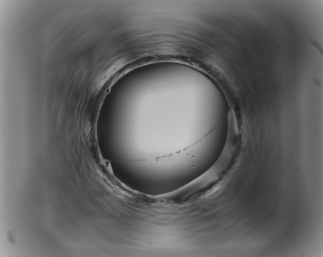 X0000099461065200805161041