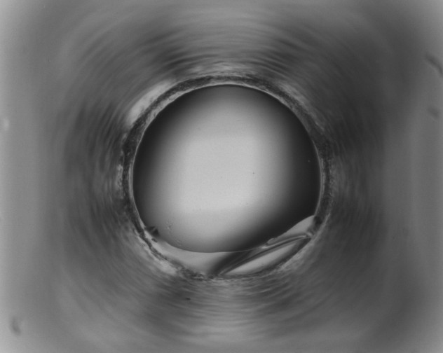 X0000099461066200805161041