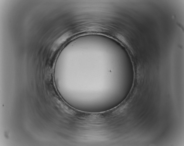 X0000099461067200805161041