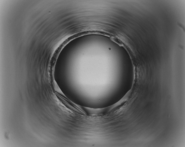 X0000099461068200805161041