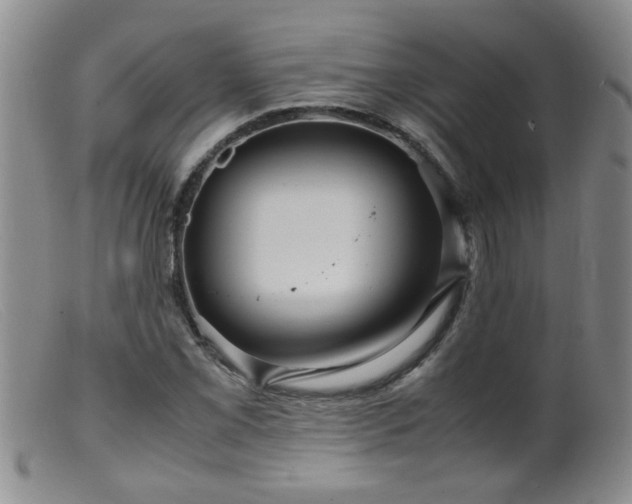 X0000099461069200805161041