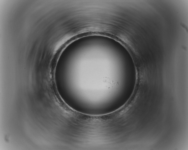 X0000099461070200805161041