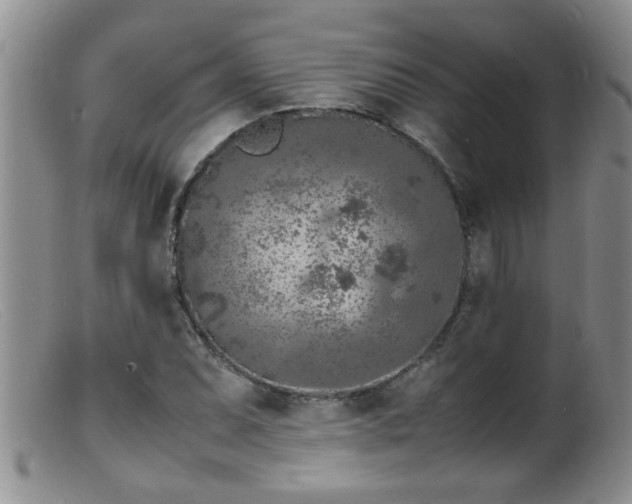 X0000099461071200805161041