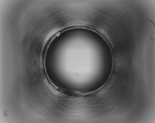 X0000099461072200805161041