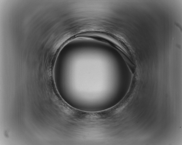 X0000099461073200805161041