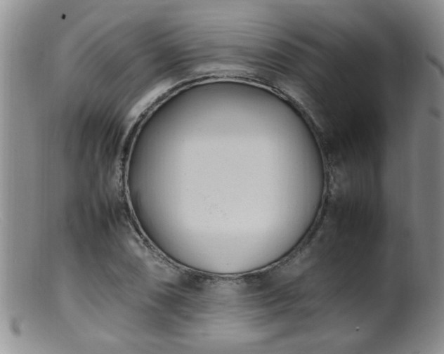 X0000099461074200805161041