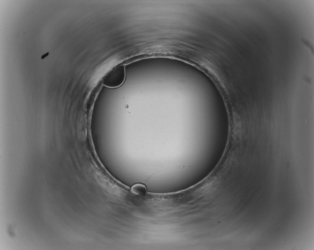 X0000099461075200805161041