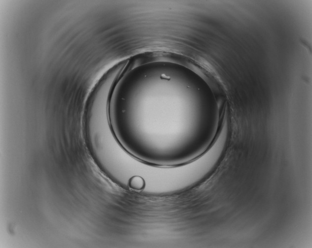 X0000099461076200805161041