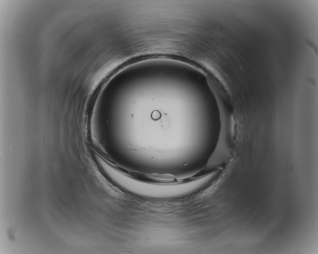 X0000099461077200805161041