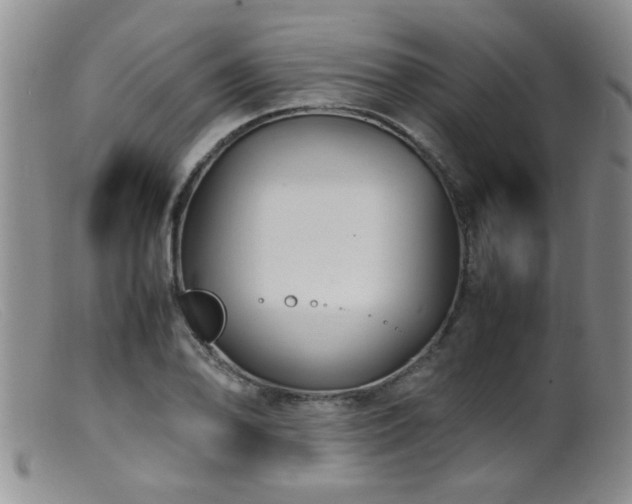 X0000099461078200805161041