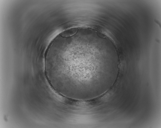 X0000099461079200805161041