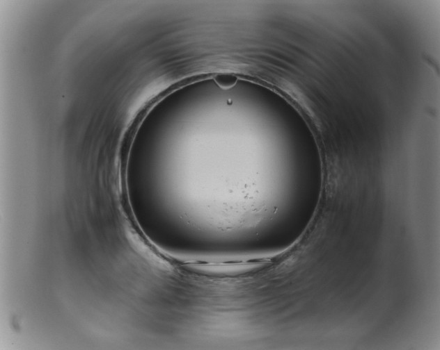 X0000099461080200805161041