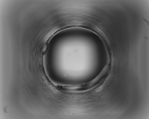 X0000099461081200805161041