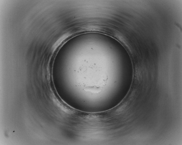 X0000099461082200805161041