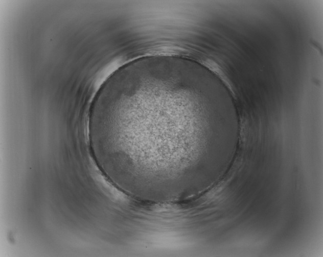 X0000099461083200805161041