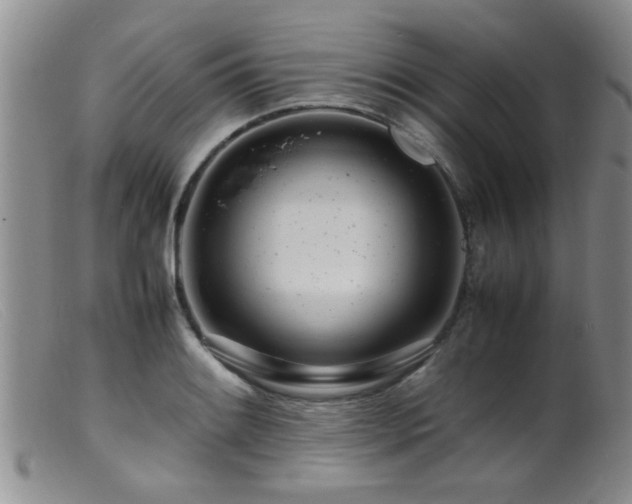 X0000099461084200805161041