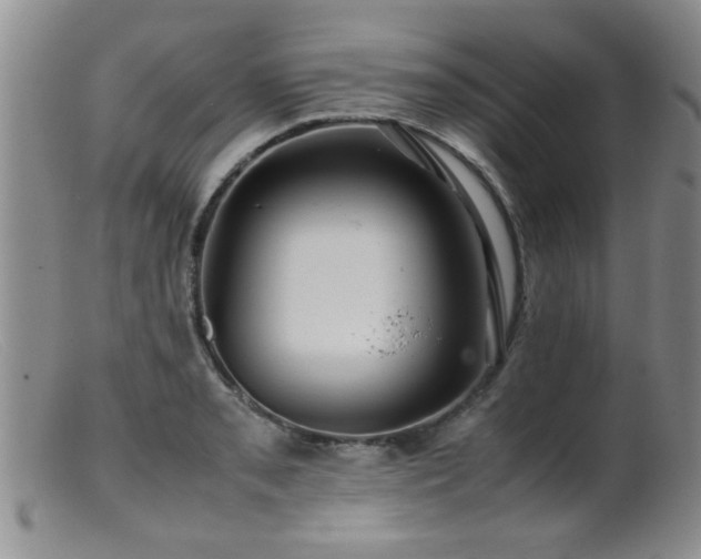 X0000099461085200805161041