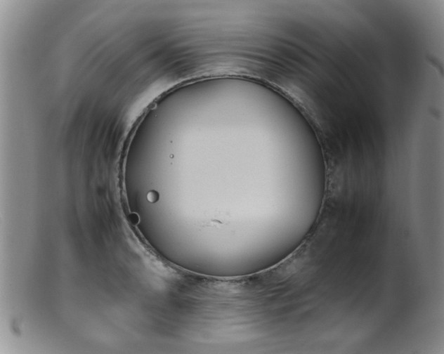 X0000099461086200805161041