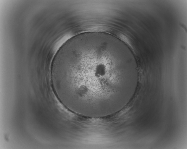 X0000099461087200805161041